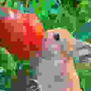 бомж валера