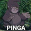 PINGA