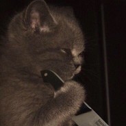 那句晚安你听了吗