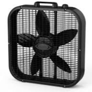 Fan