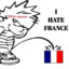 france hater