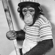 Da Monkey
