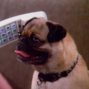 𝖕𝖆𝖕𝖎𝕂𝕦𝕤𝕙