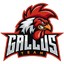 Gallus Alfa