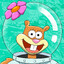 Sandy Cheeks