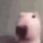 WalterPurple