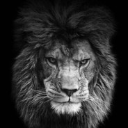 куку мой мальчик