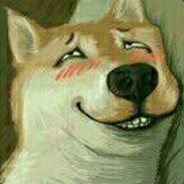 我轮椅玩的可6了