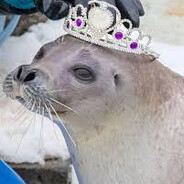 PrincessSeal