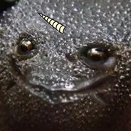 NarwhalBoy