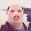 John Pork