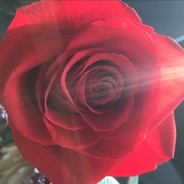 花开分两半 人生佛魔间