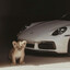 Stealthy