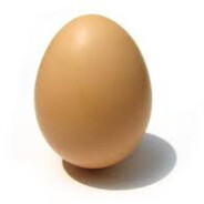 Egg