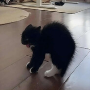 我哈基米也绝非善类