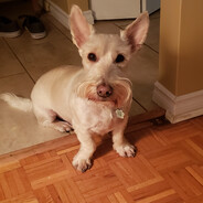 Fergus