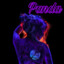 P4nd4