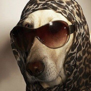 放开它....让我来