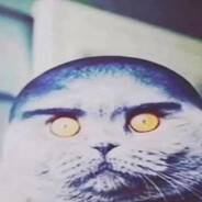 китикет avatar