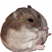 内向的人从不外设