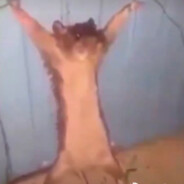 翻斗花园第一牛子