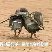 星星