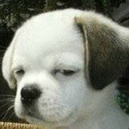 屎到淋头 还想搅便