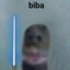 biba