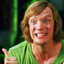 shaggy
