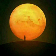 你是我哥大哥别卖我东