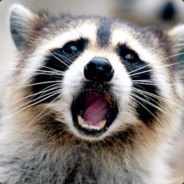 RaccooN