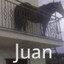 JUAN