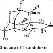 Tetrodotoxin avatar