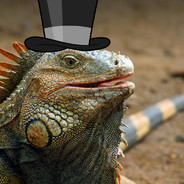 Incognito Iguana