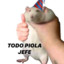 Rata piola