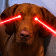 [PLECS] Potyondi