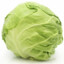 Iceberg Lettuce