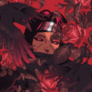 udi - steam id 76561199668747280