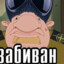 В777ОР66