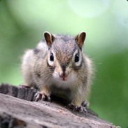 器印祸福闭曲之