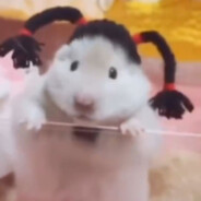 吃橙子不剥橙子皮