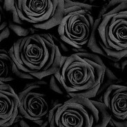 Reaktive - steam id 76561198274707158