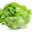 Lettuce