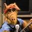 ALF