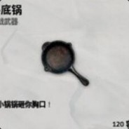 队长，自己人别开枪