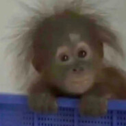 京海市民高启盛