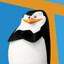 Skipper