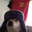 COMRADE DOGGO