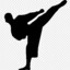 Karate Master