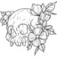 Ryohann❀